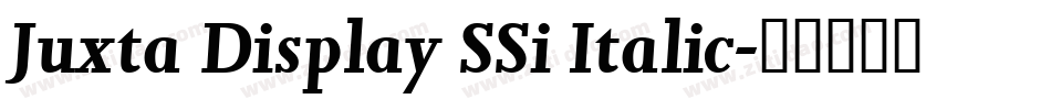 Juxta Display SSi Italic字体转换